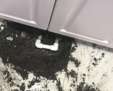 石屏查漏水哪家好